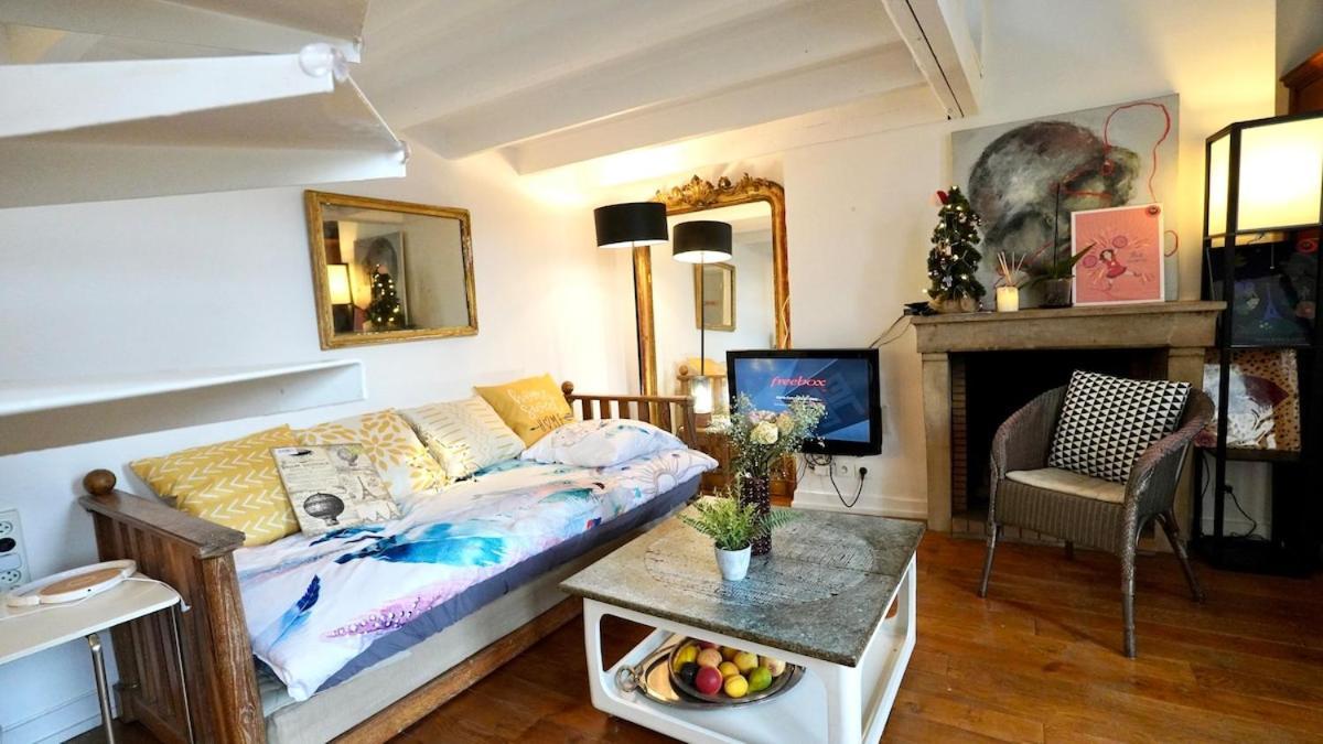 08 Grand Loft Near Notre Dame * Paris