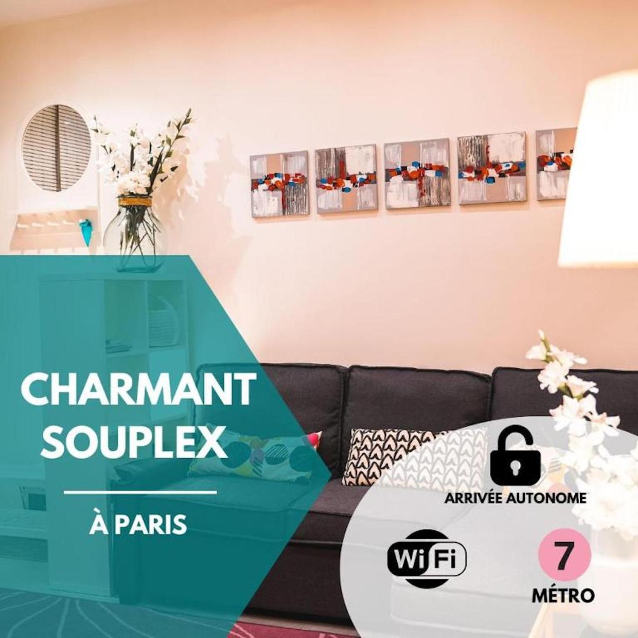 Apartment Charming Souplex In