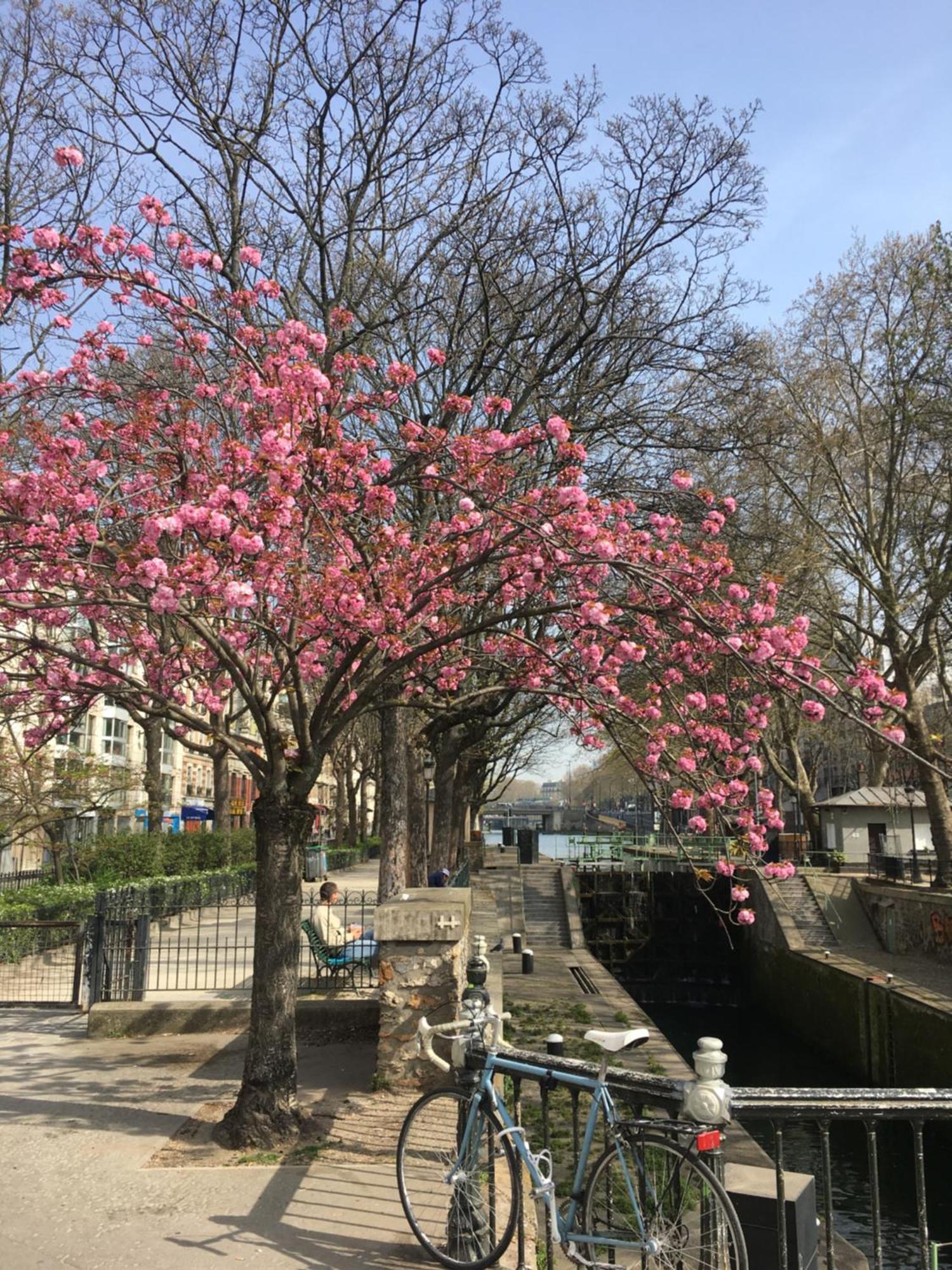 Apartment A Paris, Au Bord De L'eau