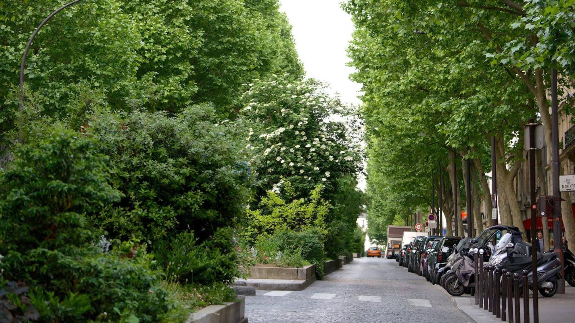 Modern & Spacious Near Le Marais Apartment *
