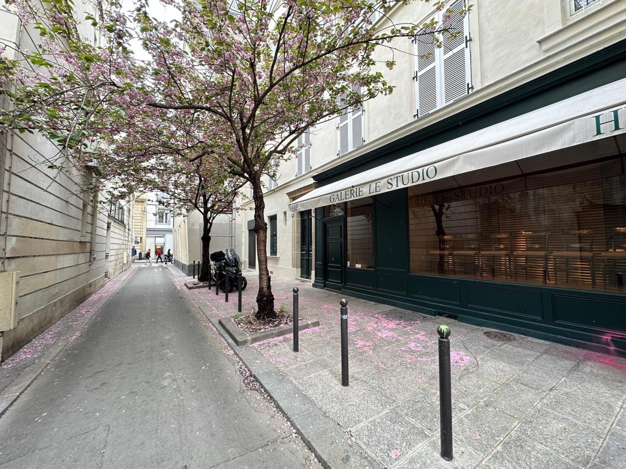 Spacious In Saint-germain-des-pres Paris