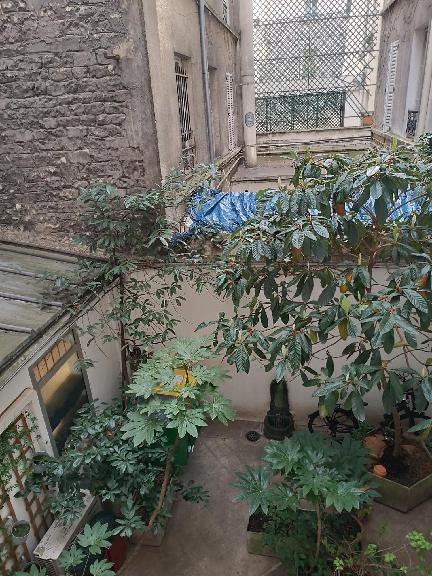 Cosy 6eme Bon Marche Apartment *