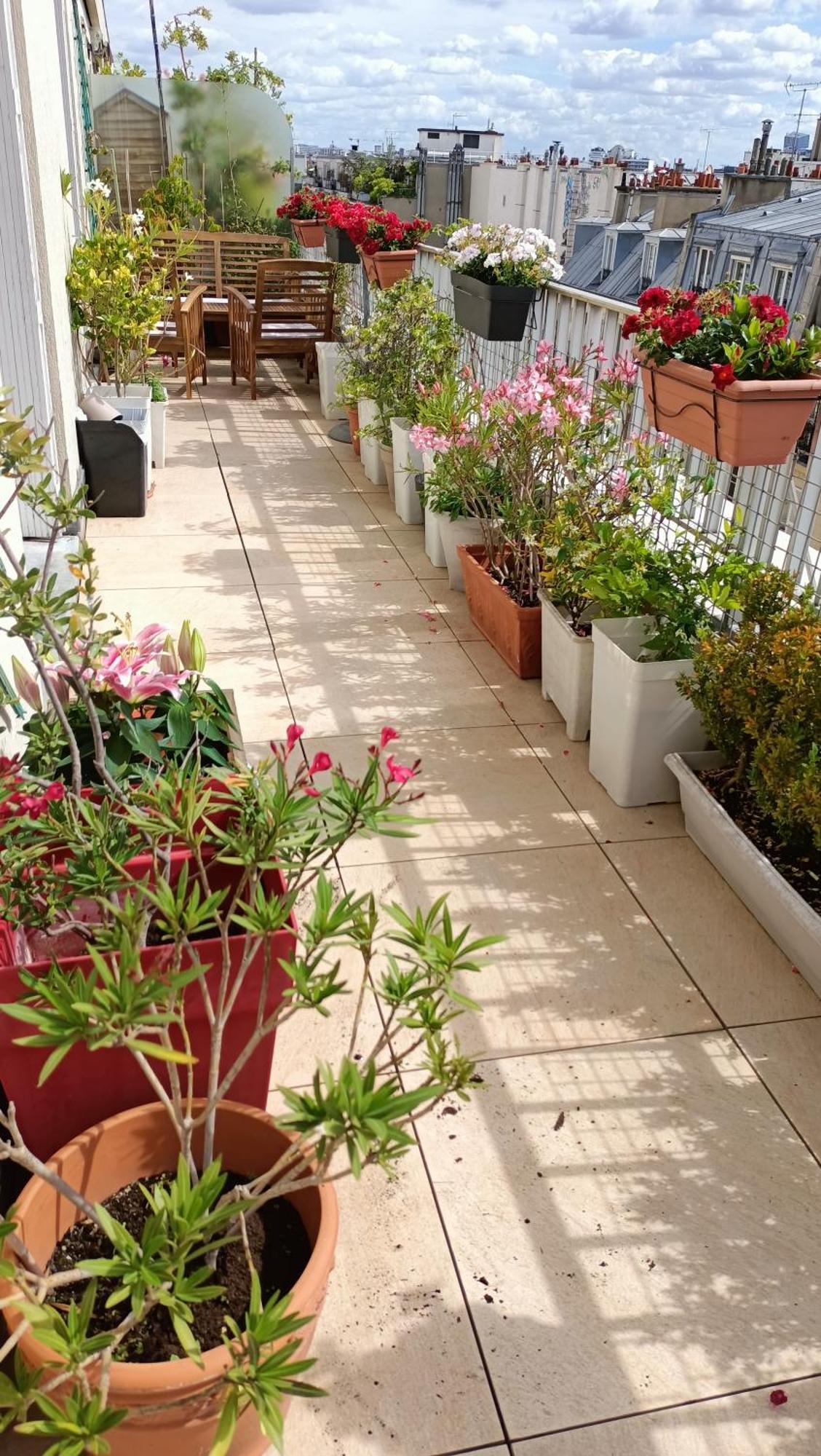 Floor & Terrace With View