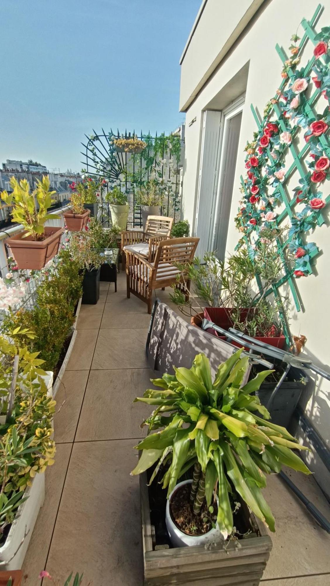 Floor & Terrace With View Apartment