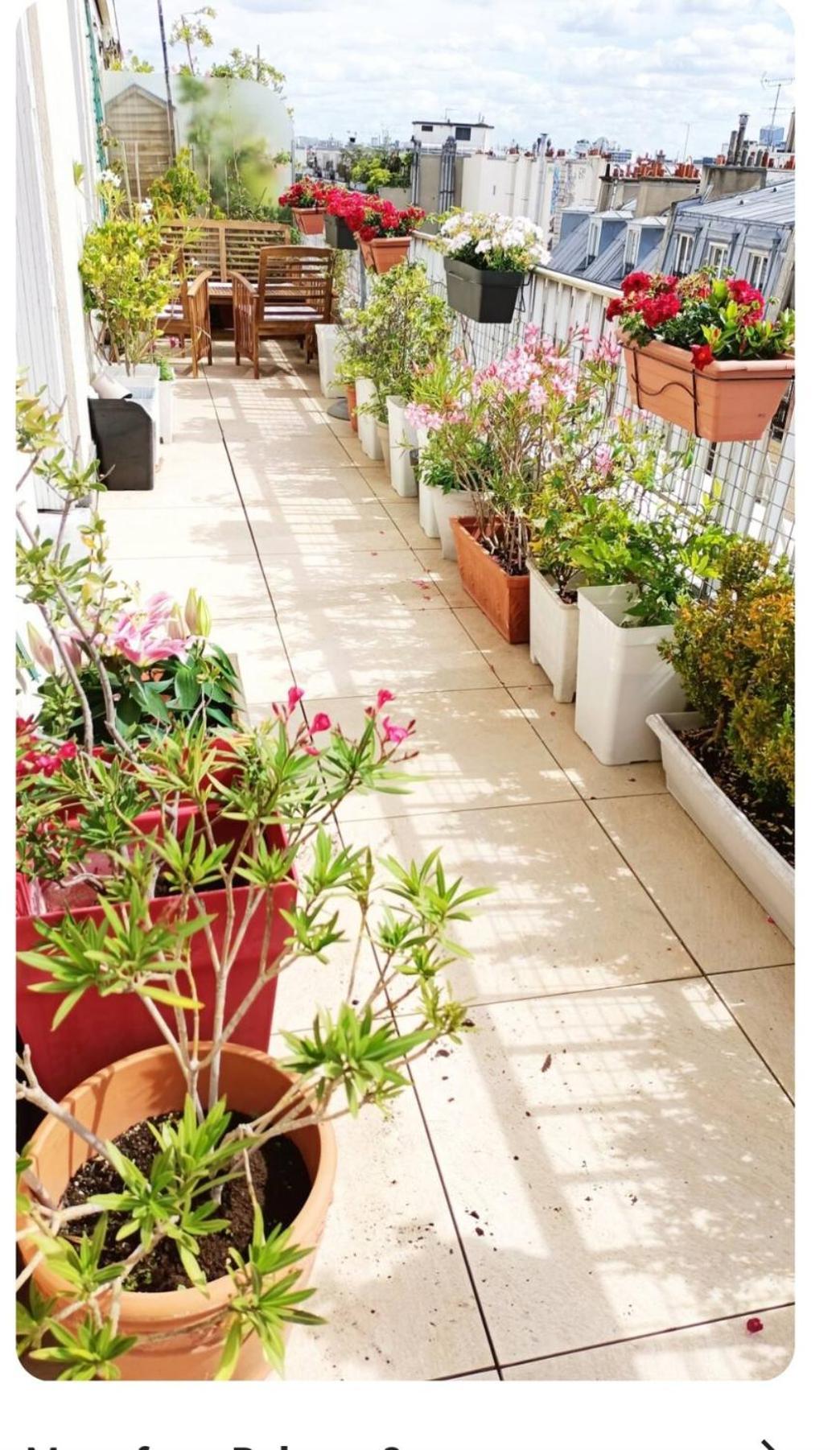 Apartment Floor & Terrace With View