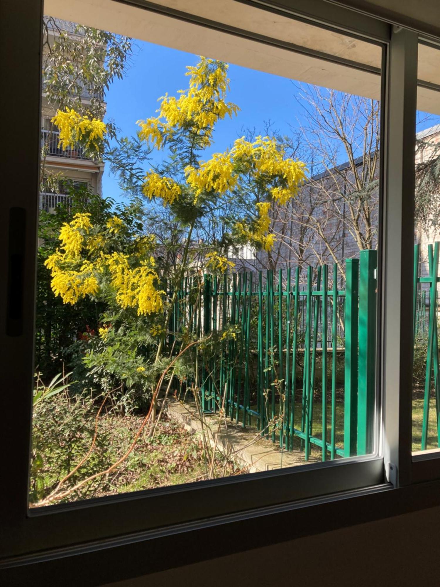Apartment Vue Sur Jardin, 3 Pieces *