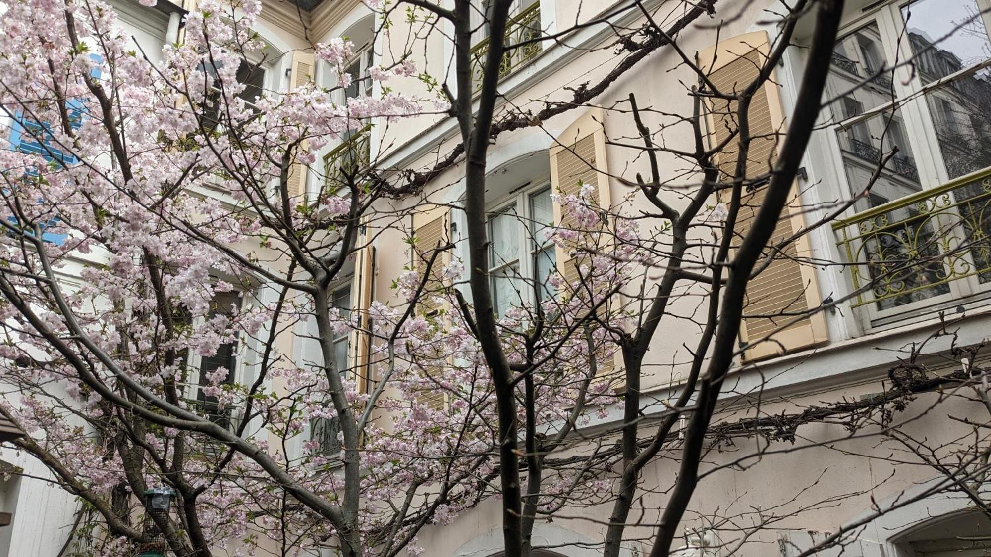 D'hotes Calmes Sur Jardin Batignolles Guest house