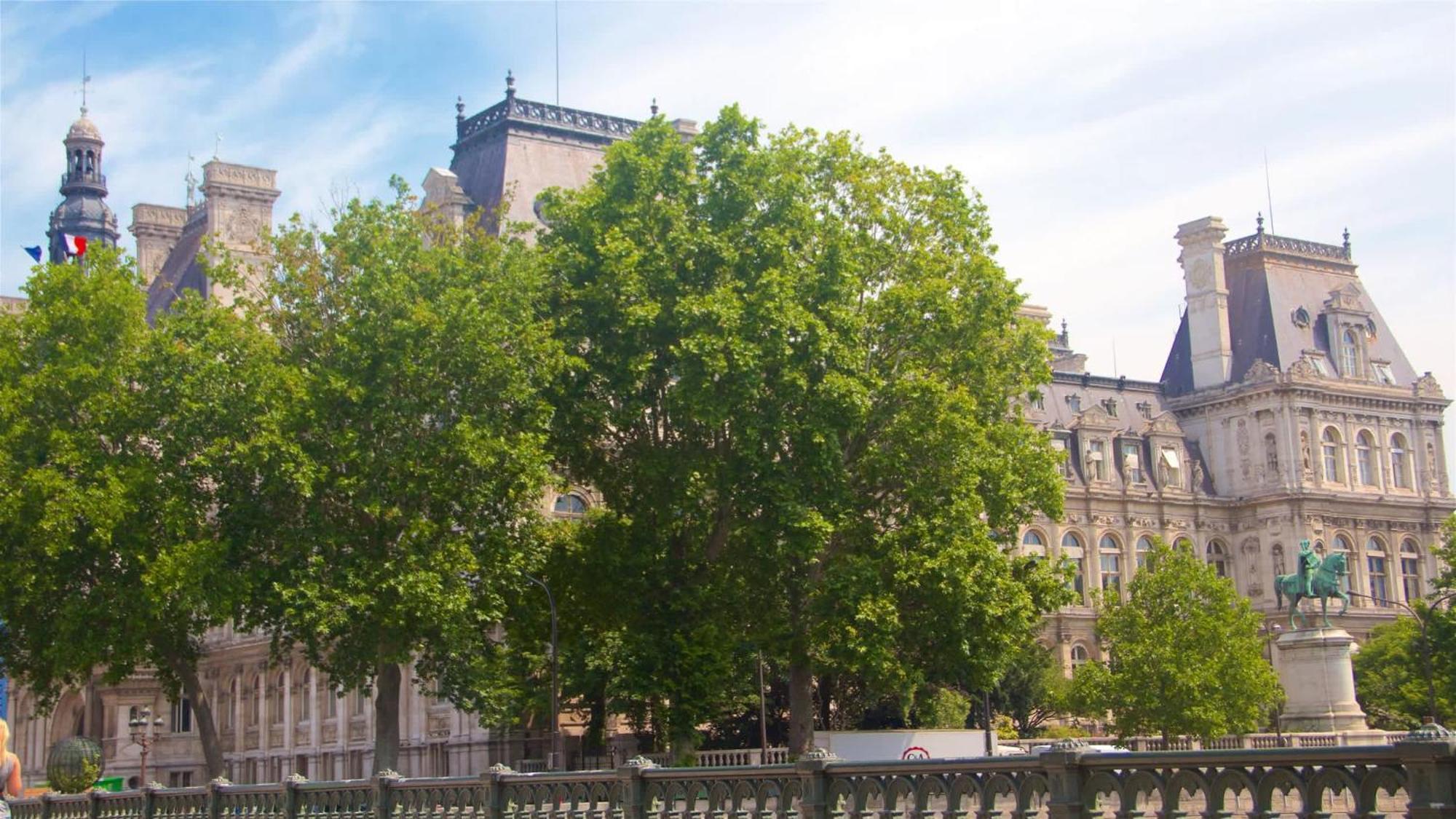 Apartment New Heaven Near Louvre Museum Paris