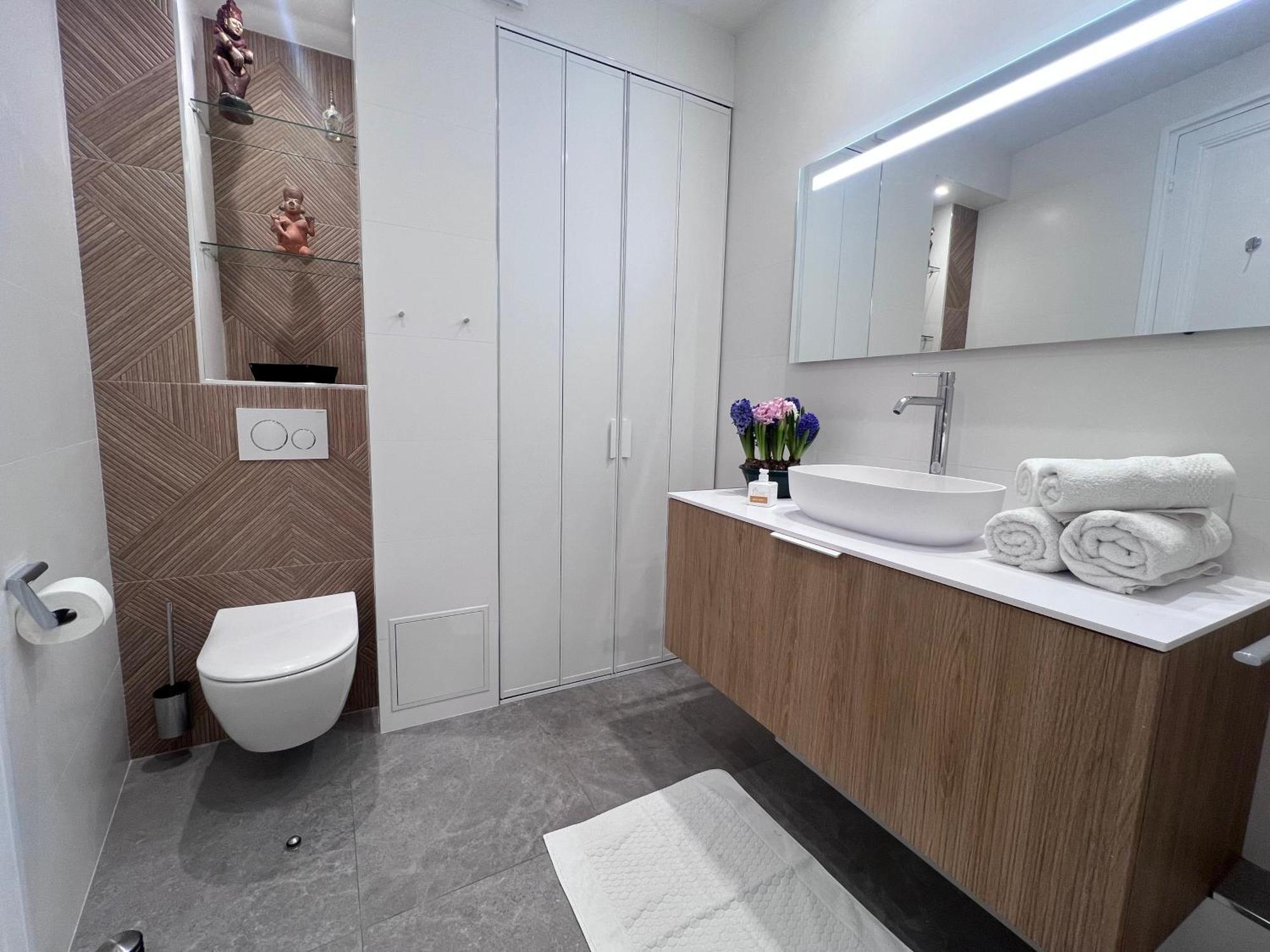 Champs Elysees Apartment