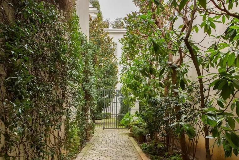 Hidden Beauty - Calm & Verdant - Orsay Museum * Paris