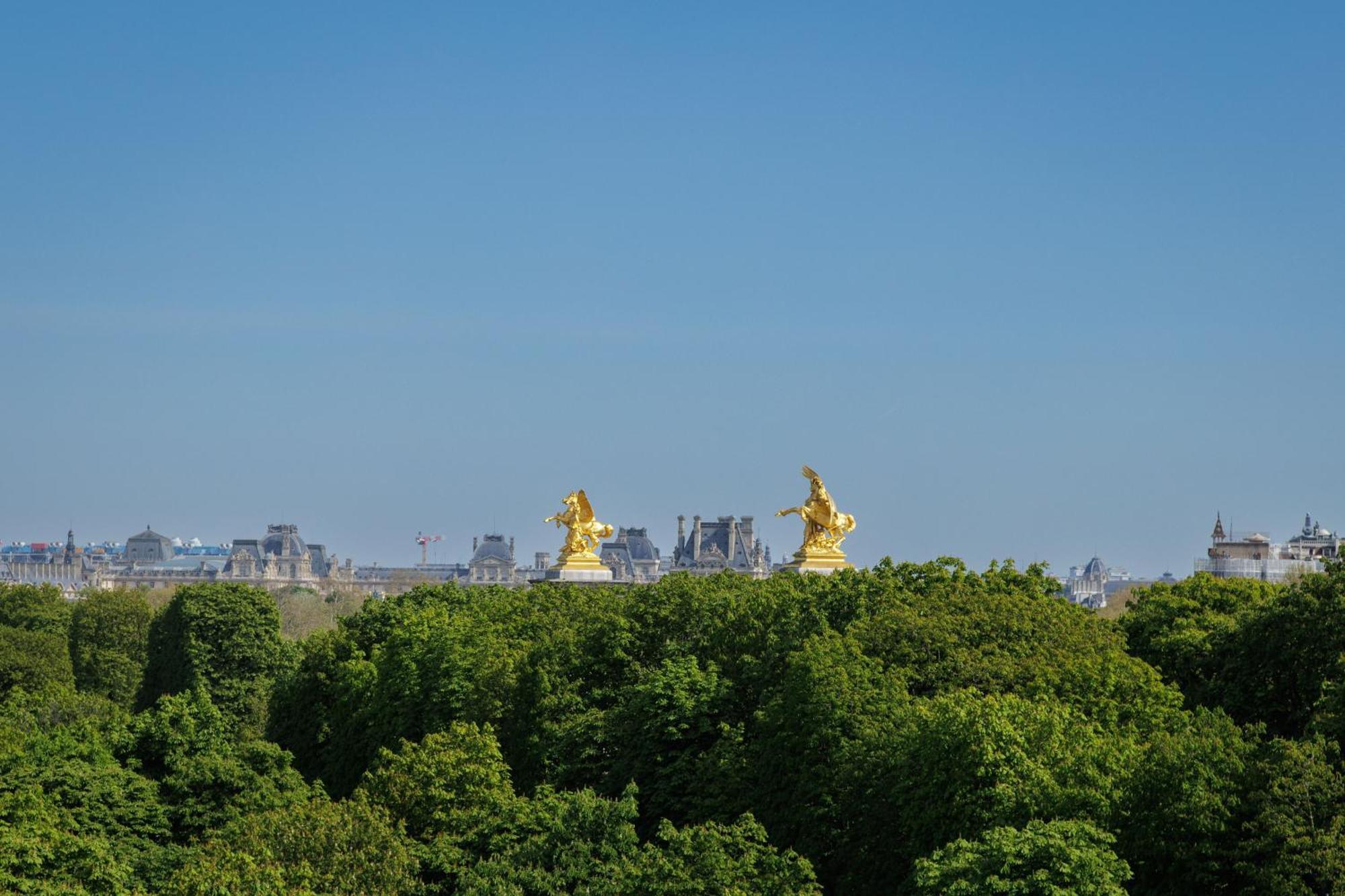 Luxury - Avenue Montaigne Apartment *