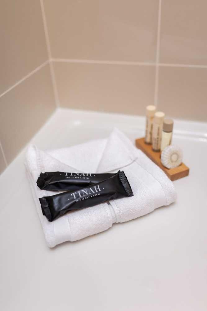 Tinah Paris, Champs Elysees Hotel 2*