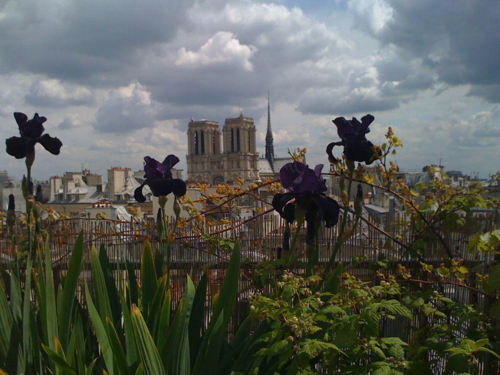 Appartement Notre Dame Flat *