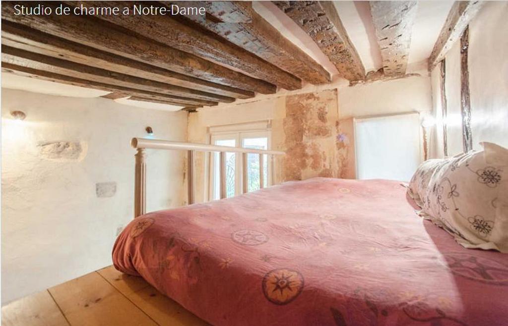 Apartment Frederic Sauton Studio Notre-dame *