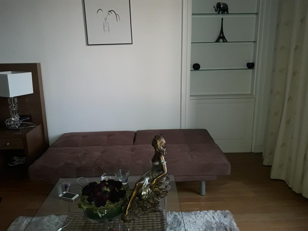 Apartment Avenue Des Champs-elysees Paris