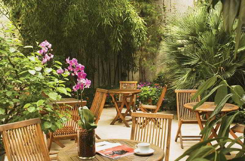 Orchidée Paris