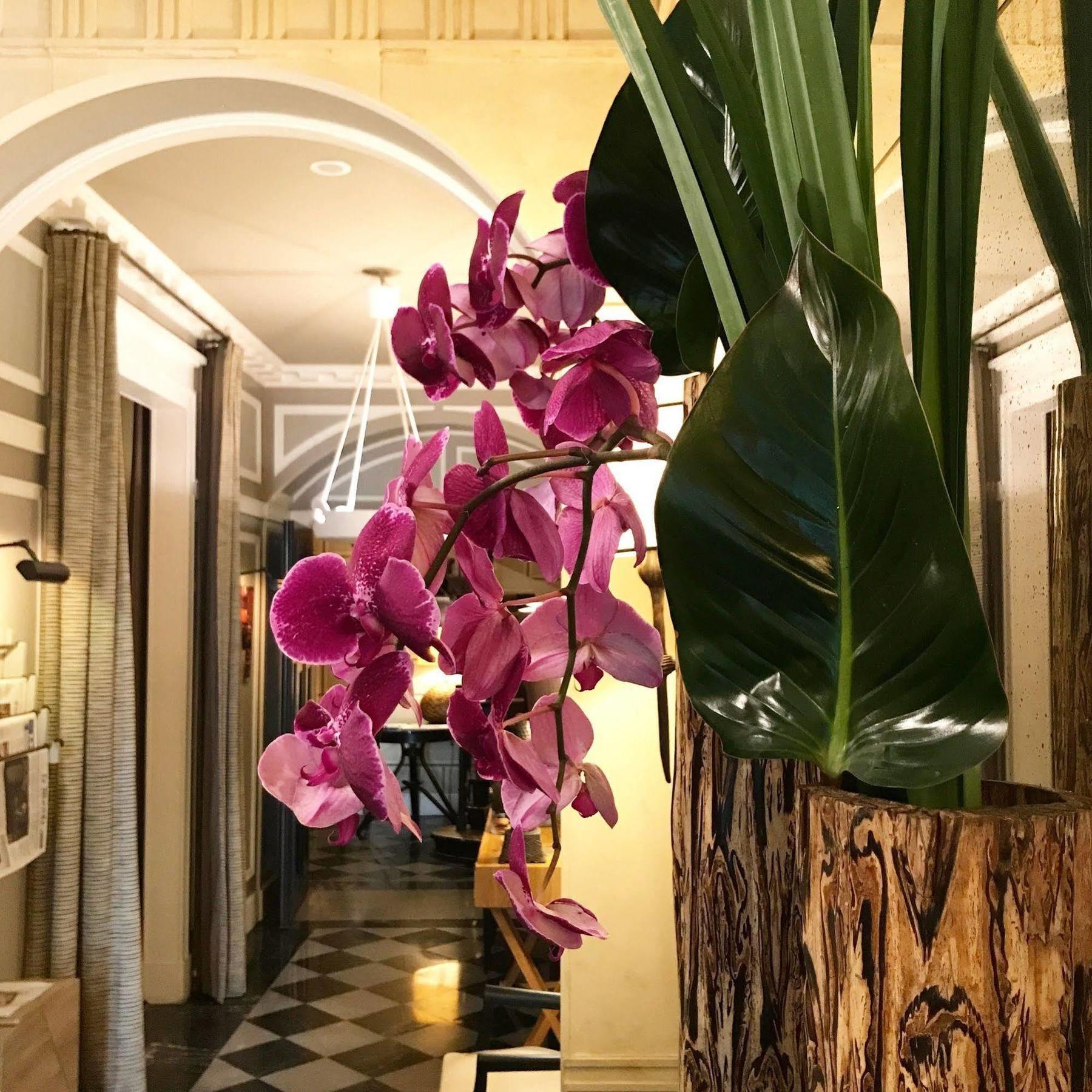 Hotel Recamier