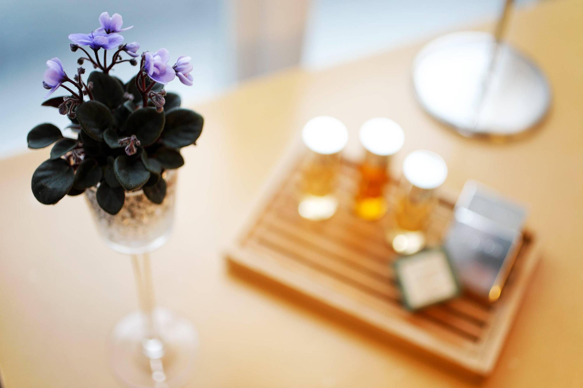 Chatillon Montparnasse Hotel 3*