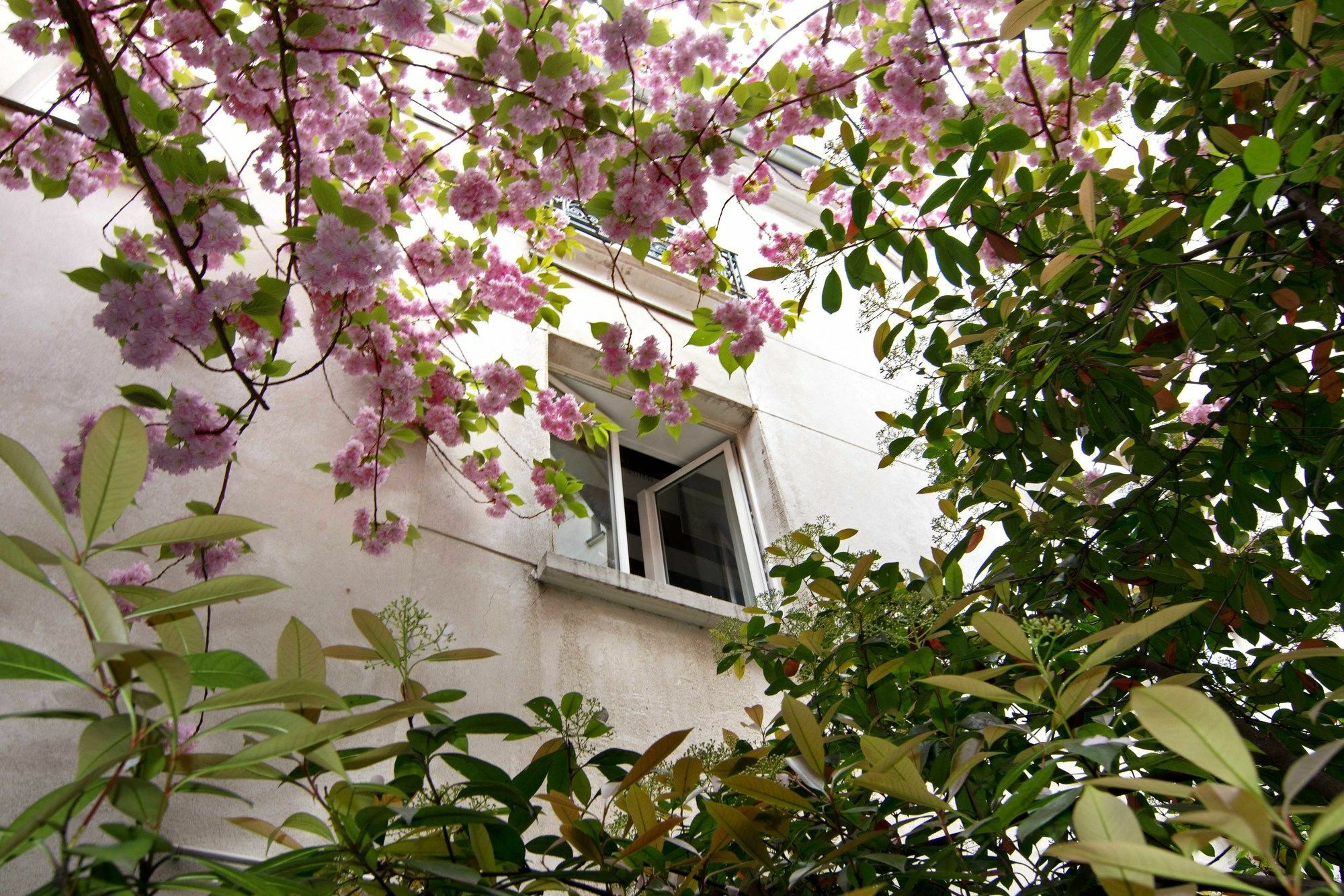 Inn My Nest - Mouffetard Paris