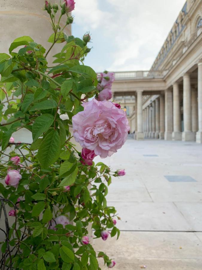 Near Louvre, Appartement *
