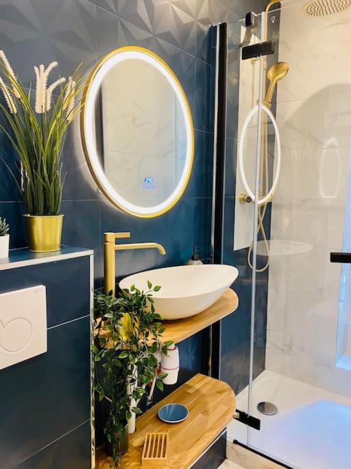 Appartement Lovely In The Heart Of St Germain-des-pres Paris