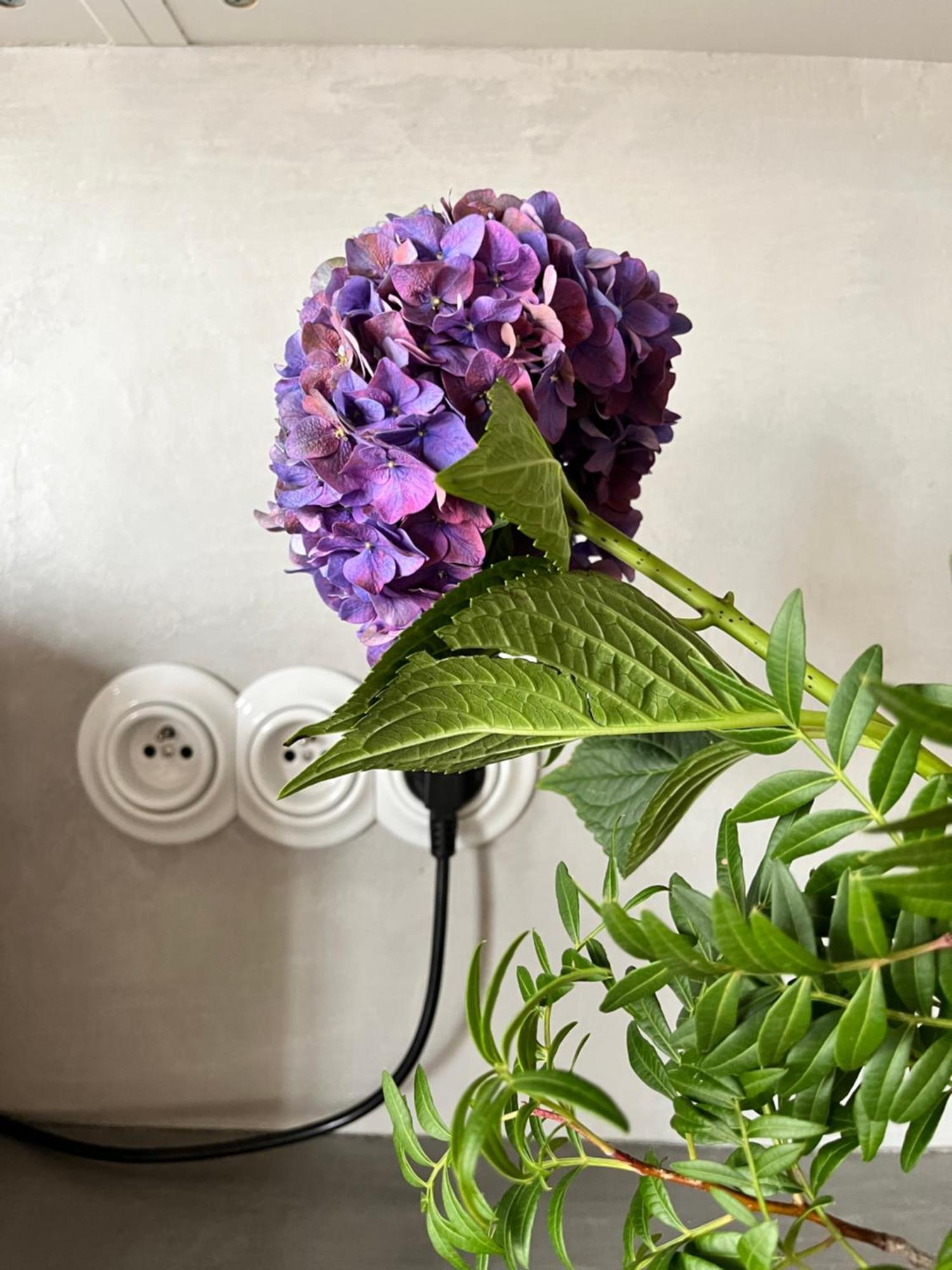 Appartement Heart Of Le Marais - Modern & Cosy Nest In The Old *