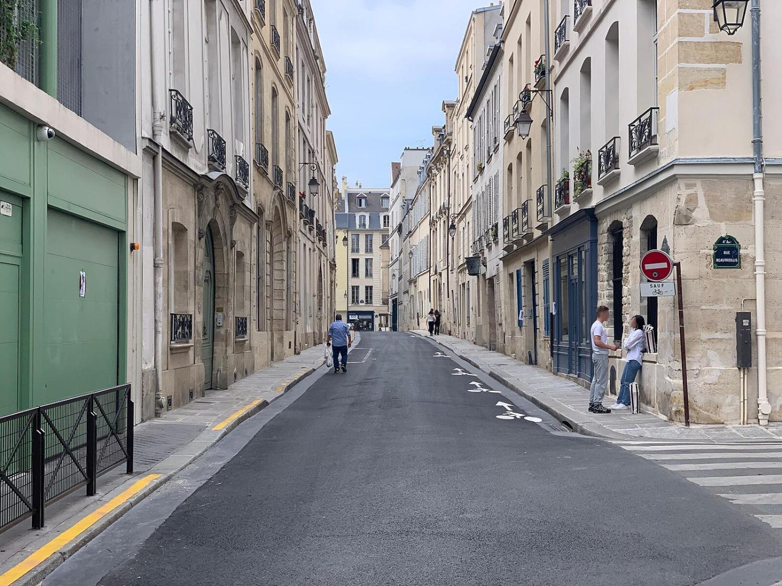 Apartment Du Lion/ac Historic Flat, Marais, 4-5 Guests *