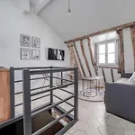 Amazing Historical Parisien Loft Next To Louvre Area !