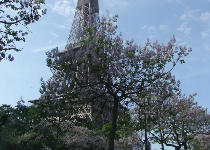 Plein Coeur De Paris