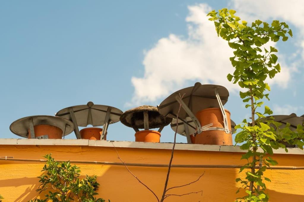 Notre-dame -latin Quarter Vip Rooftop Terrace View *