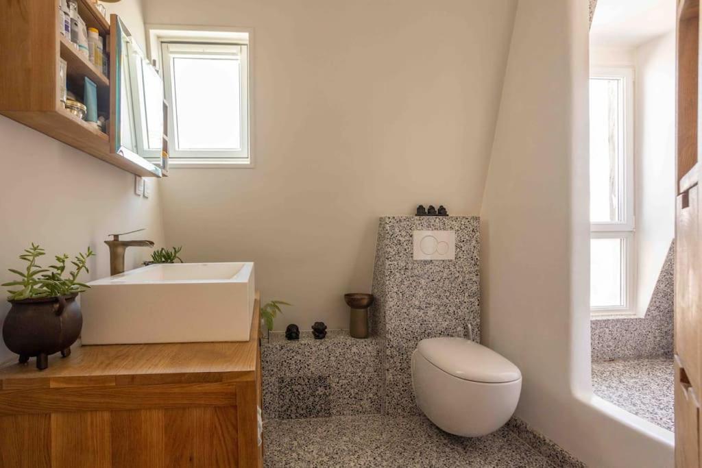Apartment Dernier Etage A Montmartre Paris
