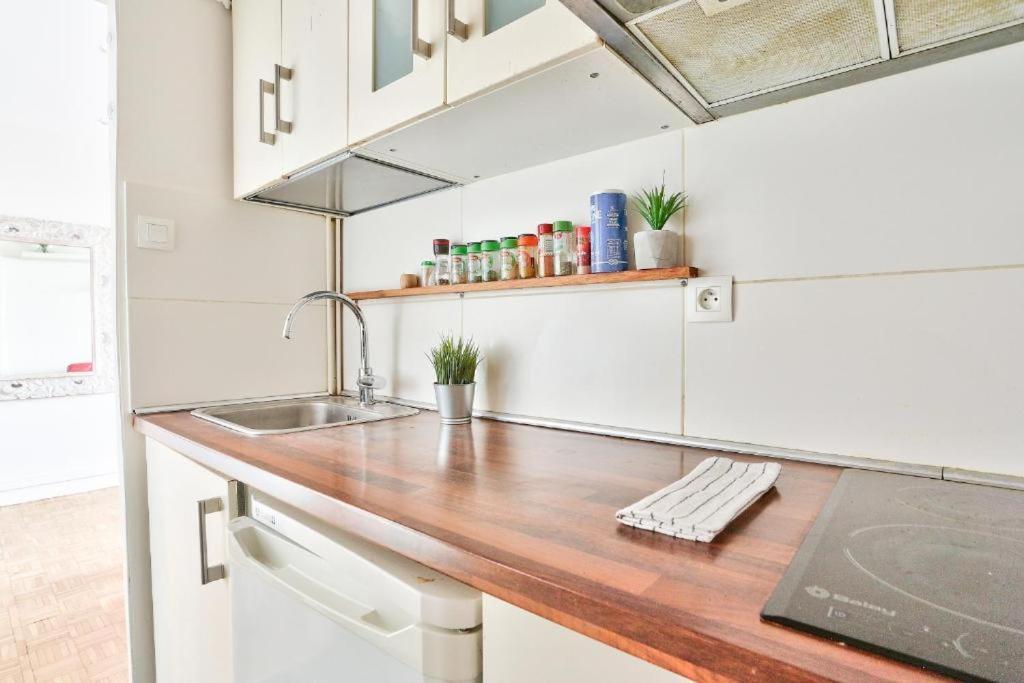 Appartement Bel Parisien Parc Montsouris