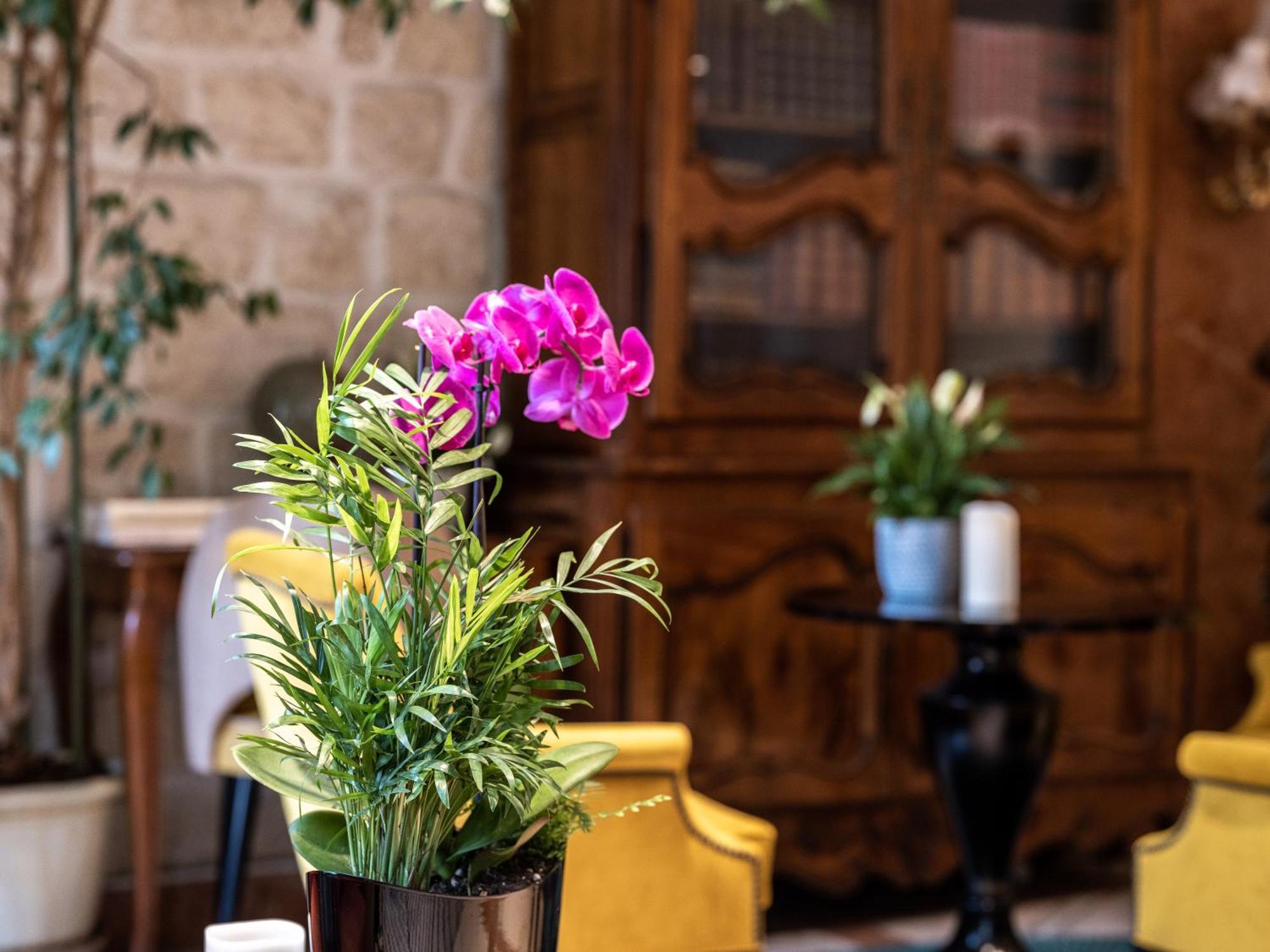 Hotel Minerve 3*