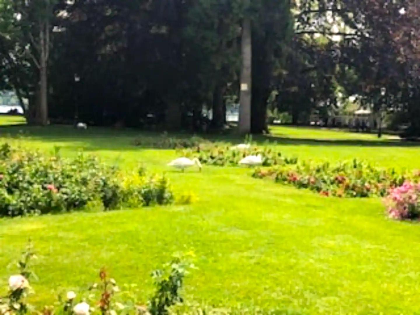 Beautiful 3 Flat - 14percent Sales Park Montsouris In Centre14eme Direct To Airport Appartement *