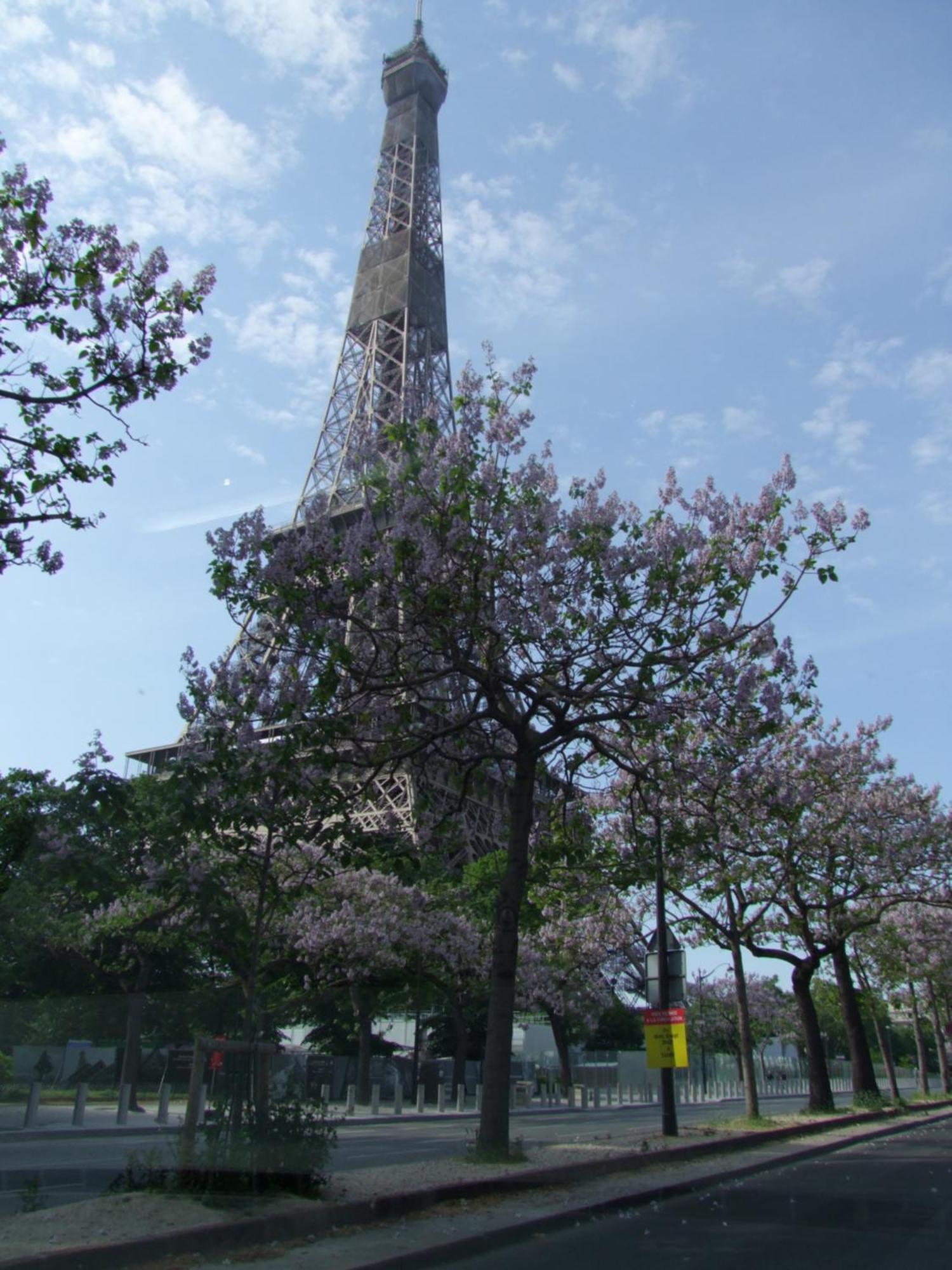 Plein Coeur De * Paris