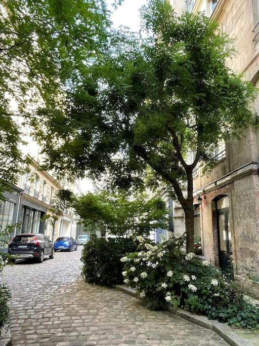 Appartement Au Coeur Du Marais, Un Joli !