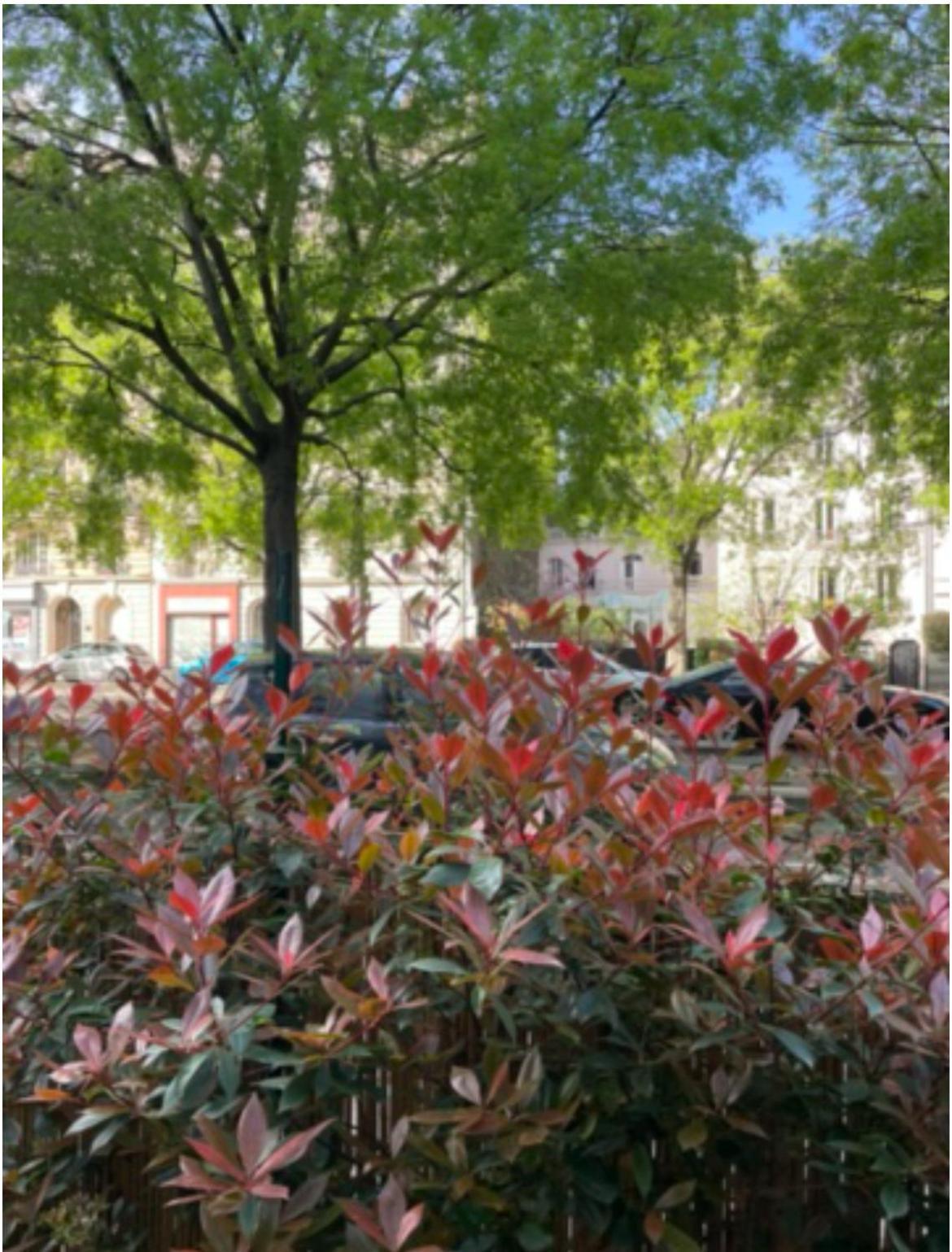 Apartment Avec Beau Jardin