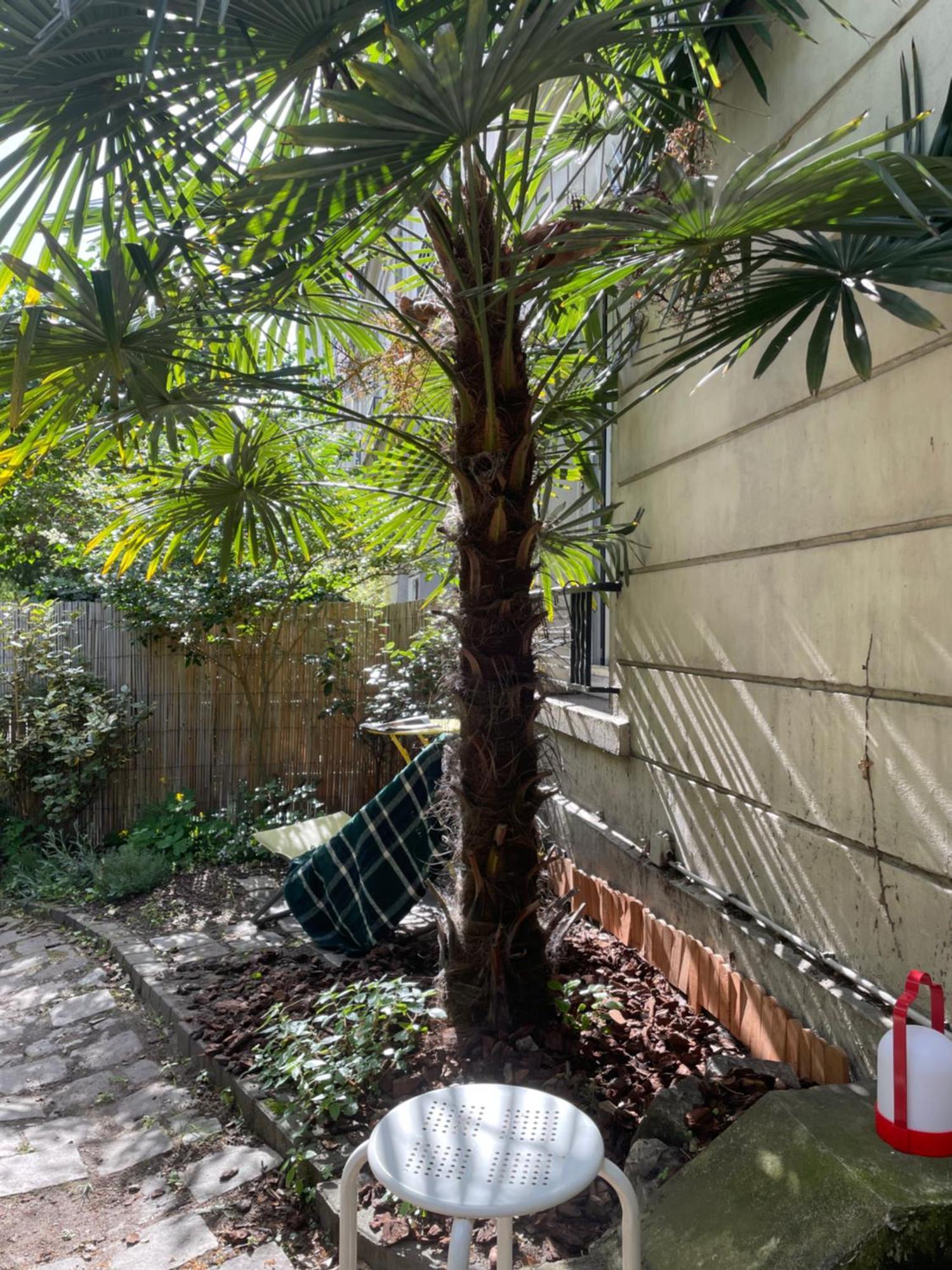 Avec Beau Jardin Apartment *