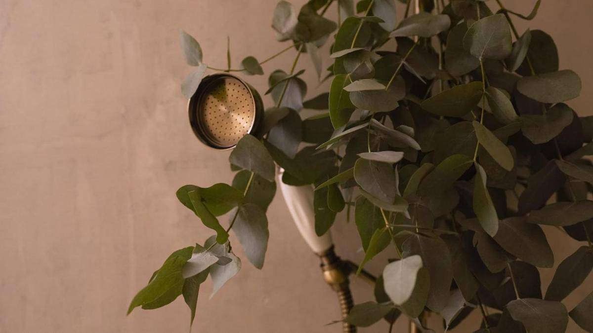 Apartment Vendome Parisian Elegance With A Patio