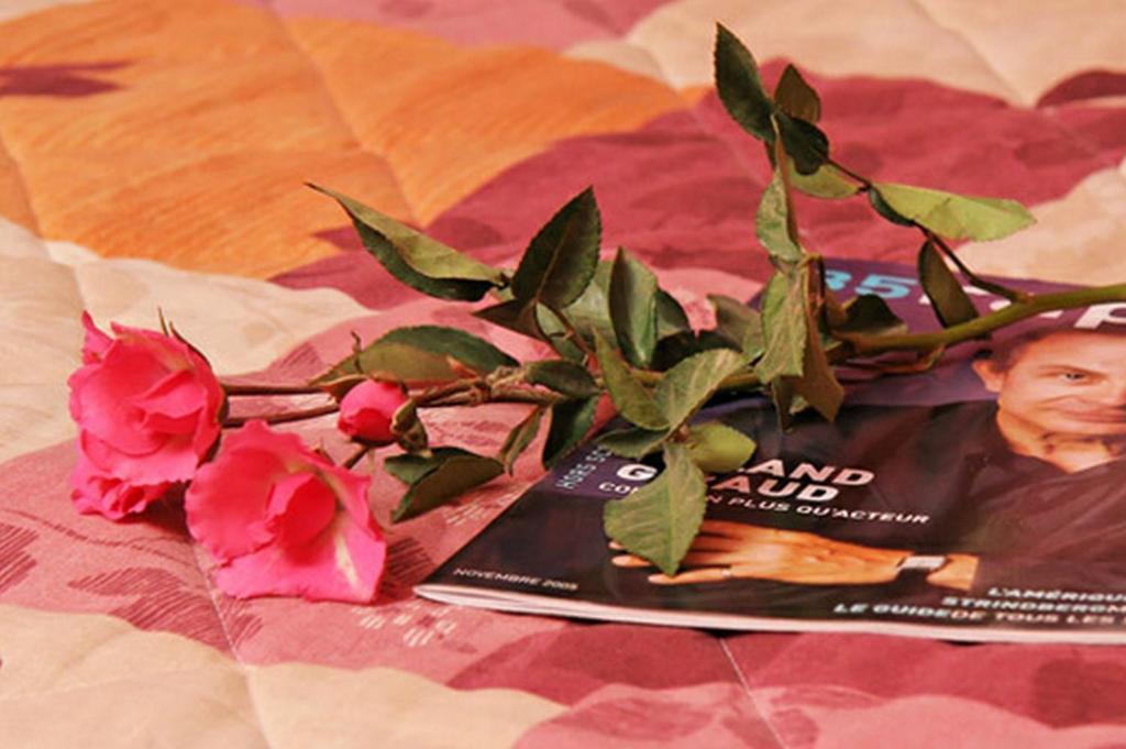 Hotel Camelia International Paris